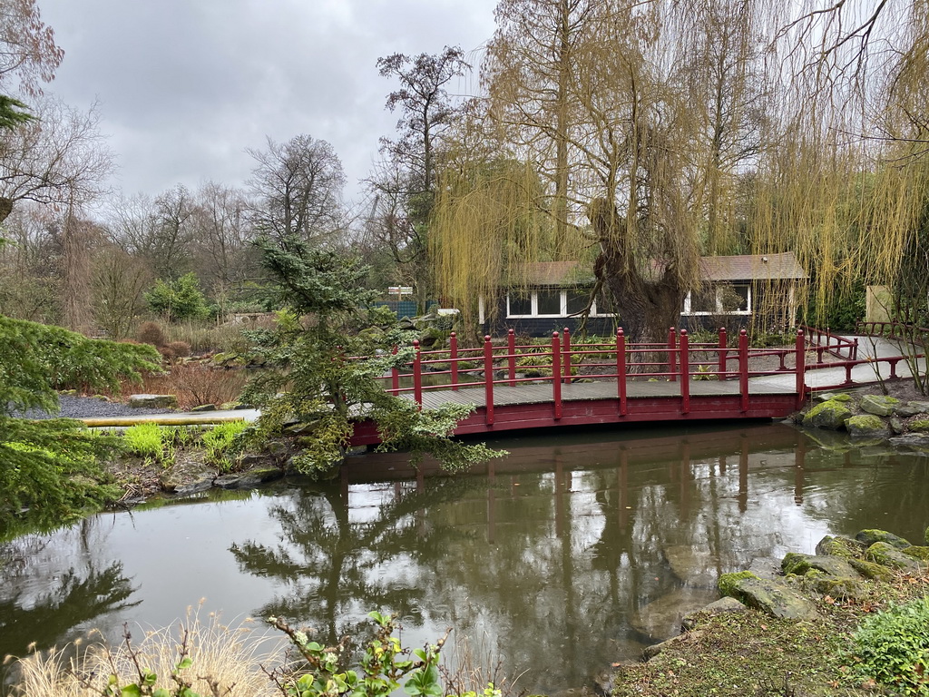 The Chinese Garden at the Asia area at the Diergaarde Blijdorp zoo