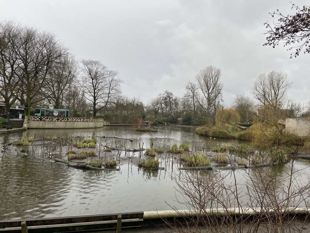 Central pond in front of the Rivièrahal building at the Asia area at the Diergaarde Blijdorp zoo