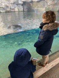 Max and his friend looking at Common Murres at the Bass Rock section at the Oceanium at the Diergaarde Blijdorp zoo