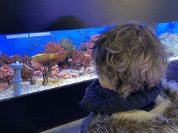 Max`s friend looking at a shark egg at the Laboratory at the Oceanium at the Diergaarde Blijdorp zoo