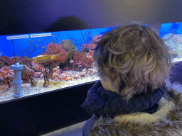 rotterdam_11_011 - 291 kb - 1024x768 - Max`s friend looking at a shark egg at the Laboratory at the Oceanium at the Diergaarde Blijdorp zoo Max`s friend looking at a shark egg at the Laboratory at the Oceanium at the Diergaarde Blijdorp zoo