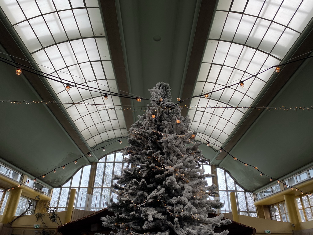 Tree at the Rivièrahal building at the Africa area at the Diergaarde Blijdorp zoo