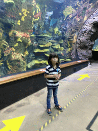 Max at the Great Barrier Reef section at the Oceanium at the Diergaarde Blijdorp zoo