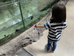 Max with fishes at the Caribbean Sand Beach section at the Oceanium at the Diergaarde Blijdorp zoo