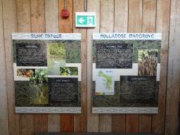 Information on Mangrove Forests at Bonaire at the Oceanium at the Diergaarde Blijdorp zoo