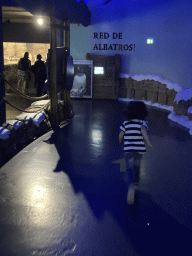 Max running to the Gentoo Penguins at the Falklands section at the Oceanium at the Diergaarde Blijdorp zoo