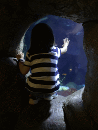 Max looking at fishes at the Oceanium at the Diergaarde Blijdorp zoo