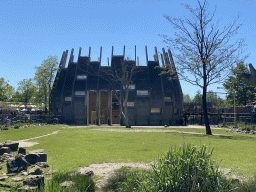 The Giraffe enclosure at the Africa area at the Diergaarde Blijdorp zoo