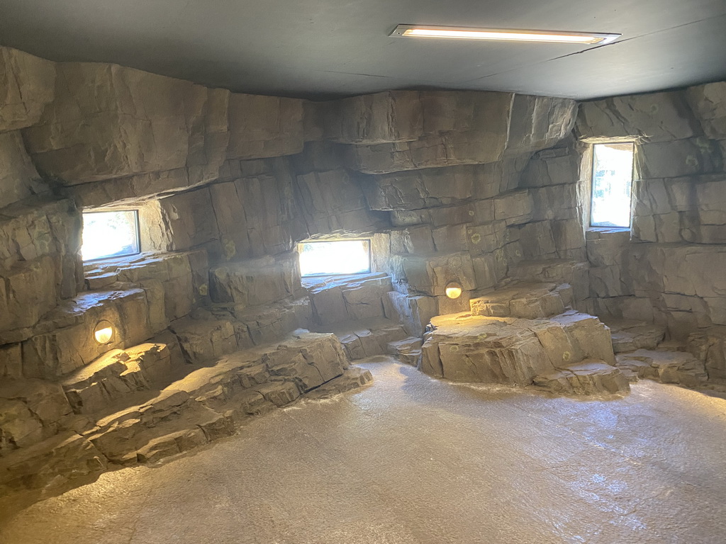 Interior of the tunnel at the Gelada enclosure at the Africa area at the Diergaarde Blijdorp zoo