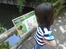 Max with an explanation on the Red Panda at the Asia area at the Diergaarde Blijdorp zoo