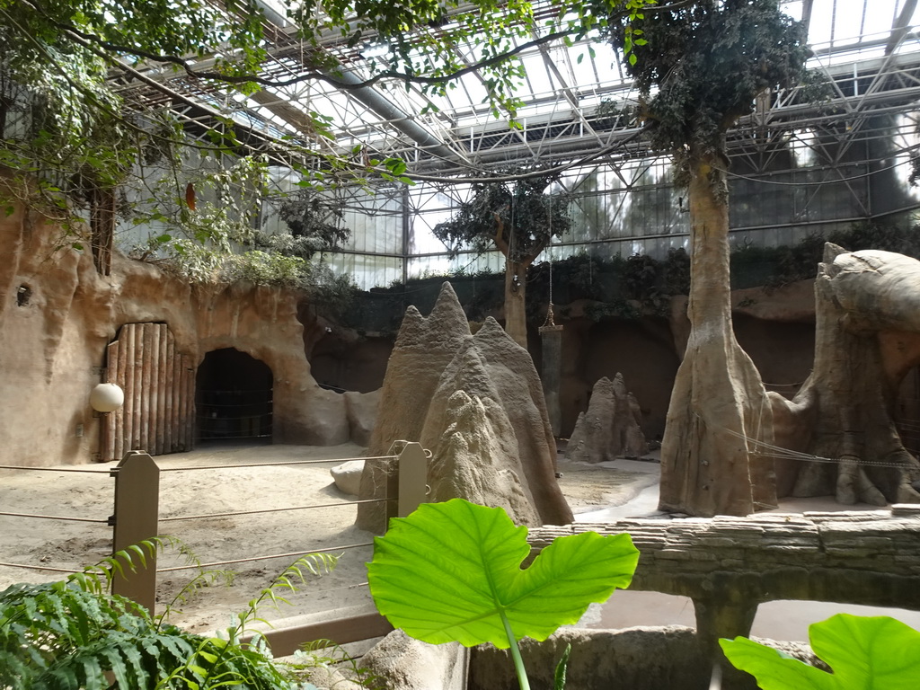 Enclosure of the Indian Elephants at the Taman Indah building at the Asia area at the Diergaarde Blijdorp zoo