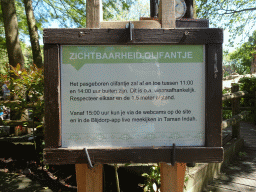 Information on the young Indian Elephant at the Asia area at the Diergaarde Blijdorp zoo