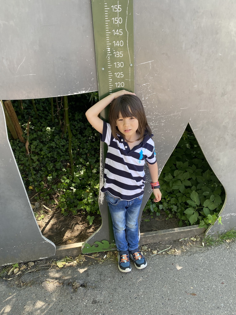 Max with an elephant tape measure at the Asia area at the Diergaarde Blijdorp zoo