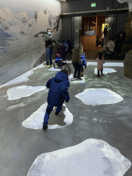 Max with projected ice floes at the Falklands section at the Oceanium at the Diergaarde Blijdorp zoo