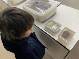 Max with a Komodo Dragon embryo and eggs at the Nature Conservation Center at the Oceanium at the Diergaarde Blijdorp zoo, with explanation