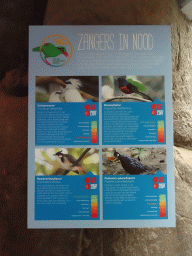 Explanation on the Bali Myna, White-rumped Shama, Red-whiskered Bulbul and Palawan Peacock-pheasant at the Oceanium at the Diergaarde Blijdorp zoo