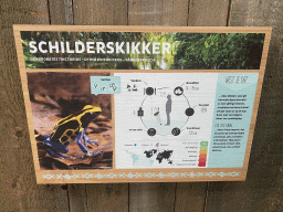 Explanation on the Dying Poison Frog at the Amazonica building at the South America area at the Diergaarde Blijdorp zoo