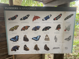 Explanation on butterfly species at the Amazonica building at the South America area at the Diergaarde Blijdorp zoo