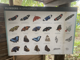 rotterdam_13_100 - 315 kb - 1024x768 - Explanation on butterfly species at the Amazonica building at the South America area at the Diergaarde Blijdorp zoo Explanation on butterfly species at the Amazonica building at the South America area at the Diergaarde Blijdorp zoo