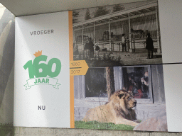 Photographs of 160 years Blijdorp at the tunnel to the Eastern part of the Diergaarde Blijdorp zoo