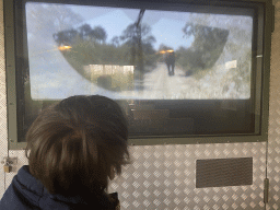 Max in a jeep with a movie in front of the Asiatic Lion enclosure at the Asia area at the Diergaarde Blijdorp zoo