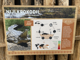 Explanation on the Nile Crocodile at the Crocodile River at the Africa area at the Diergaarde Blijdorp zoo