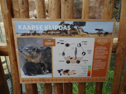 Explanation on the Rock Hyrax at the Crocodile River at the Africa area at the Diergaarde Blijdorp zoo