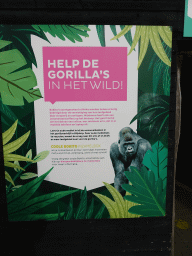 Information on the Bokito Collection Box in front of the Gorilla enclosure at the Africa area at the Diergaarde Blijdorp zoo