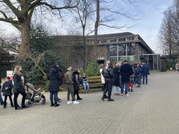 Line for the baby Western Lowland Gorilla at the Dikhuiden section of the Rivièrahal building at the Africa area at the Diergaarde Blijdorp zoo