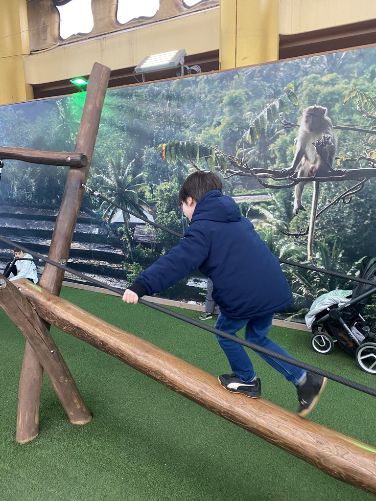 Max on a pole bridge at the Biotopia playground in the Rivièrahal building at the Africa area at the Diergaarde Blijdorp zoo