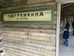 Max at the Amur Hut at the Asia area at the Diergaarde Blijdorp zoo