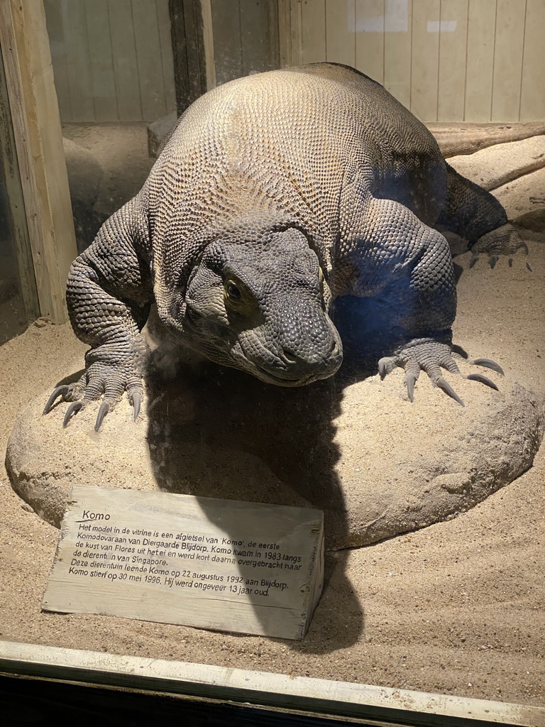 Model of `Komo` the Komodo Dragon at the Asia House at the Asia area at the Diergaarde Blijdorp zoo