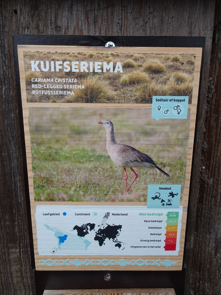 Explanation on the Red-legged Seriema at the South America area at the Diergaarde Blijdorp zoo