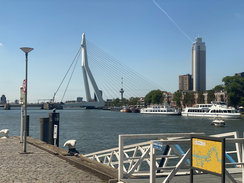Boats in the Koningshaven harbour, the Erasmusbrug bridge, the Euromast tower and the Zalmhaventoren tower, viewed from the lower floor of the Villa Zebra museum