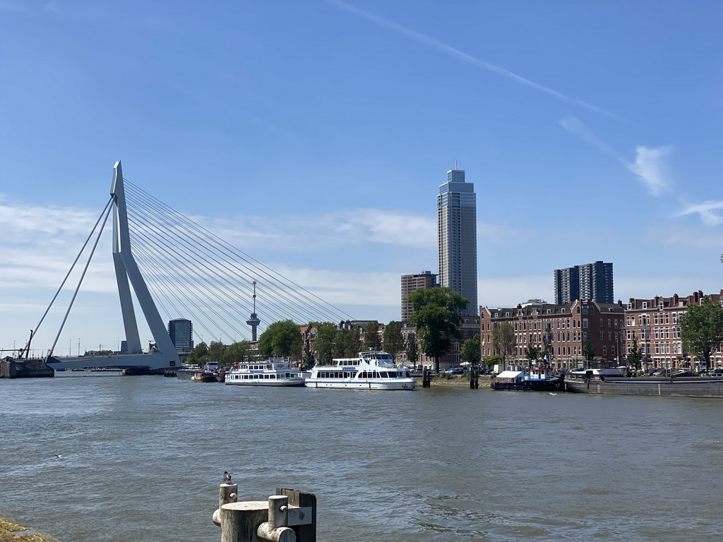 Boats in the Koningshaven harbour, the Erasmusbrug bridge, the Euromast tower and the Zalmhaventoren tower, viewed from the upper floor of the Villa Zebra museum