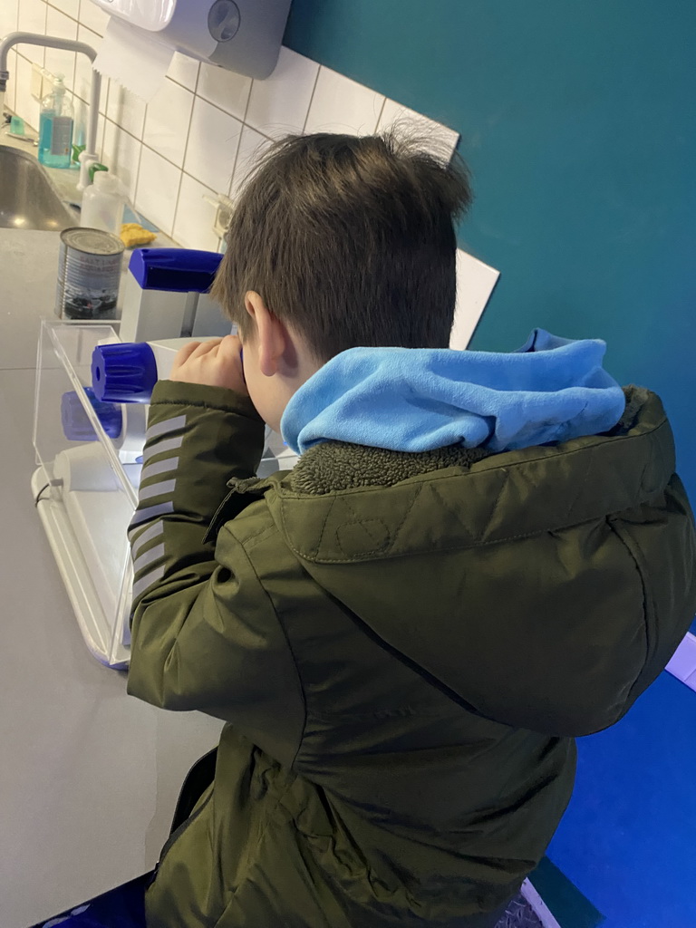 Max looking through a microscope at Crayfish eggs at the Laboratory at the Oceanium at the Diergaarde Blijdorp zoo