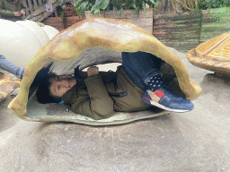 Max in a turtle shell at the Oceanium at the Diergaarde Blijdorp zoo