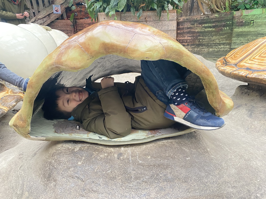 Max in a turtle shell at the Oceanium at the Diergaarde Blijdorp zoo
