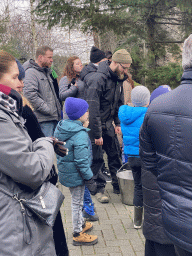 Zookeeper feeding the Polar Bear at the North America area at the Diergaarde Blijdorp zoo