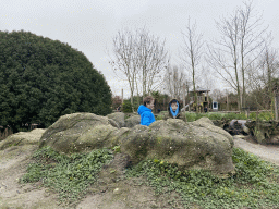 Max and his friend at the Black-tailed Prairie Dog enclosure at the North America area at the Diergaarde Blijdorp zoo