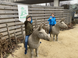 Max and his friend on top of donkey statues in front of the chip twister restaurant at the South America area at the Diergaarde Blijdorp zoo
