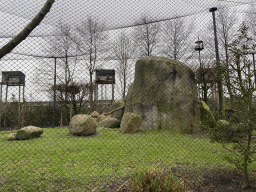 Vultures at the Gierenrots area at the Africa area at the Diergaarde Blijdorp zoo