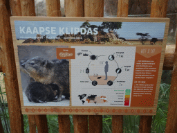 Explanation on the Rock Hyrax at the Crocodile River at the Africa area at the Diergaarde Blijdorp zoo