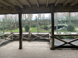 The Western Lowland Gorilla enclosure at the Africa area at the Diergaarde Blijdorp zoo