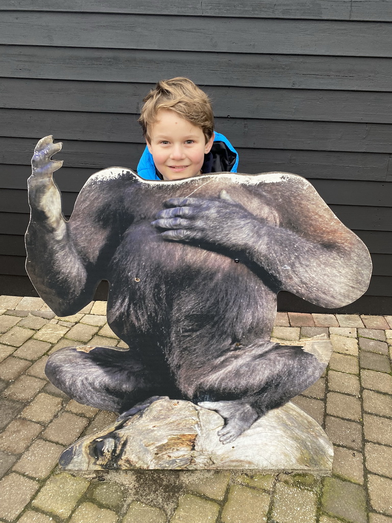 Max`s friend with a Gorilla cardboard in front of the Western Lowland Gorilla enclosure at the Africa area at the Diergaarde Blijdorp zoo
