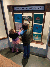 Max playing a game about the food of Gorillas at the Dikhuiden section of the Rivièrahal building at the Africa area at the Diergaarde Blijdorp zoo