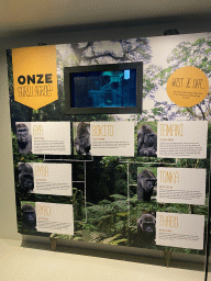 Information on `Bokito` and other Western Lowland Gorillas at the Dikhuiden section of the Rivièrahal building at the Africa area at the Diergaarde Blijdorp zoo