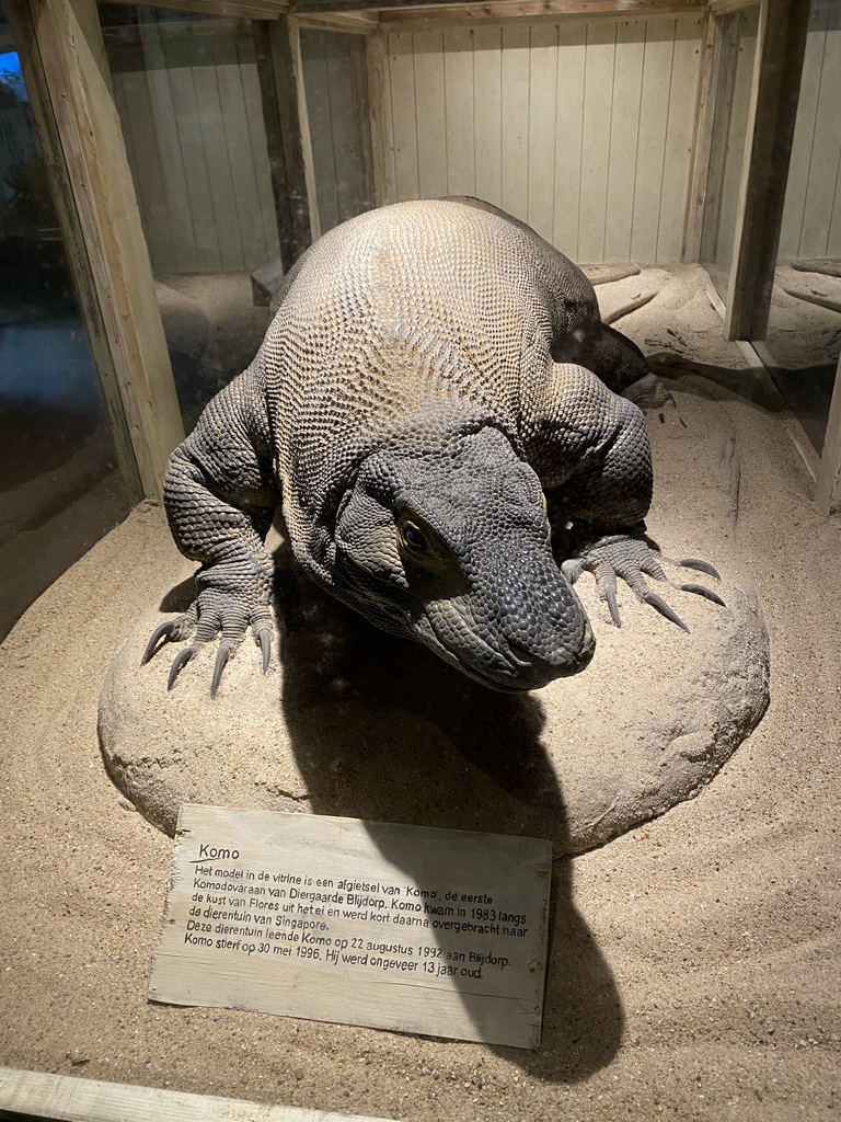 Model of `Komo` the Komodo Dragon at the Asia House at the Asia area at the Diergaarde Blijdorp zoo