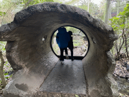 Max and his friend in a tunnel at the Fishing Cat enclosure at the Asia area at the Diergaarde Blijdorp zoo