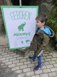 Max with a sign about the young Indian Elephant `Maxi` in front of the Taman Indah building at the Asia area at the Diergaarde Blijdorp zoo